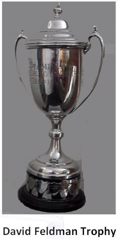 Awards-David-Feldman